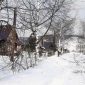 白樺町の冬景色1955ＭＳ